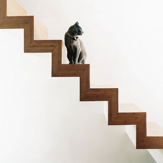 A floating bamboo staircase.
