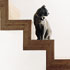 A floating bamboo staircase.

